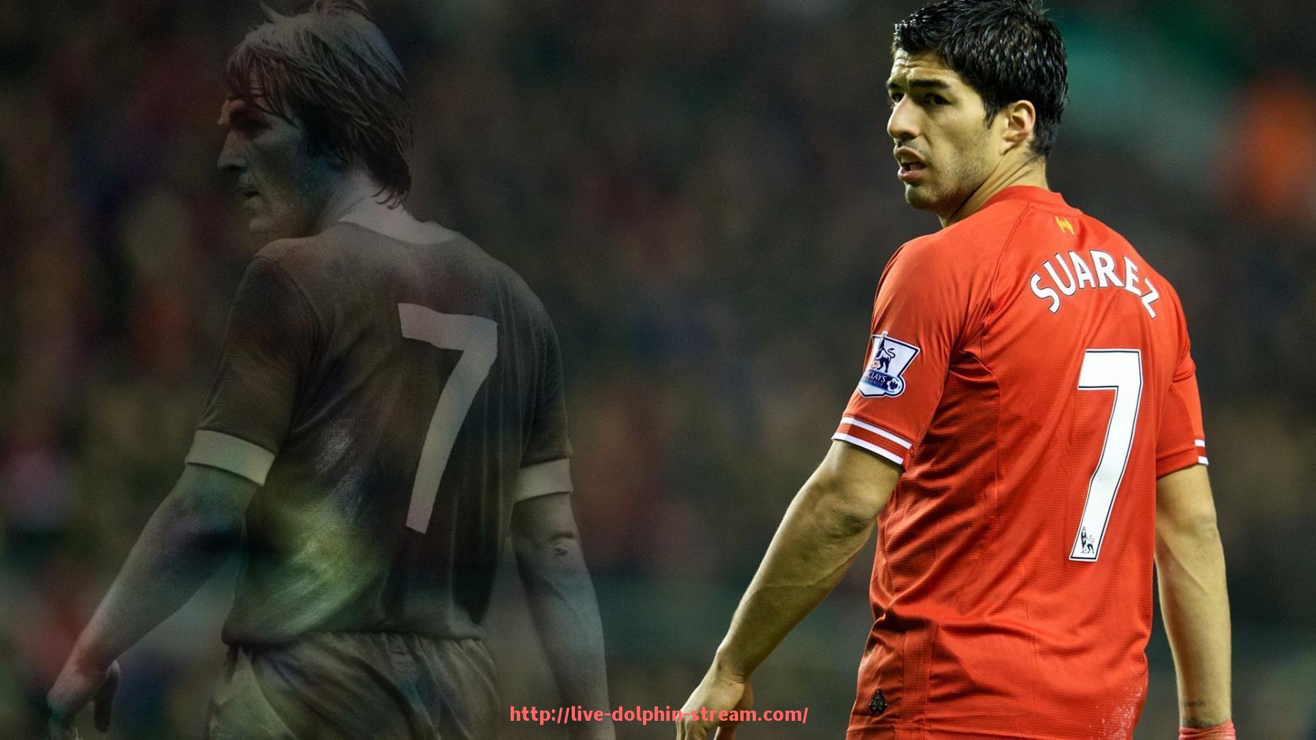 海豚直播-助威服饰定制新方案上线,世俱杯球迷专属配色可选