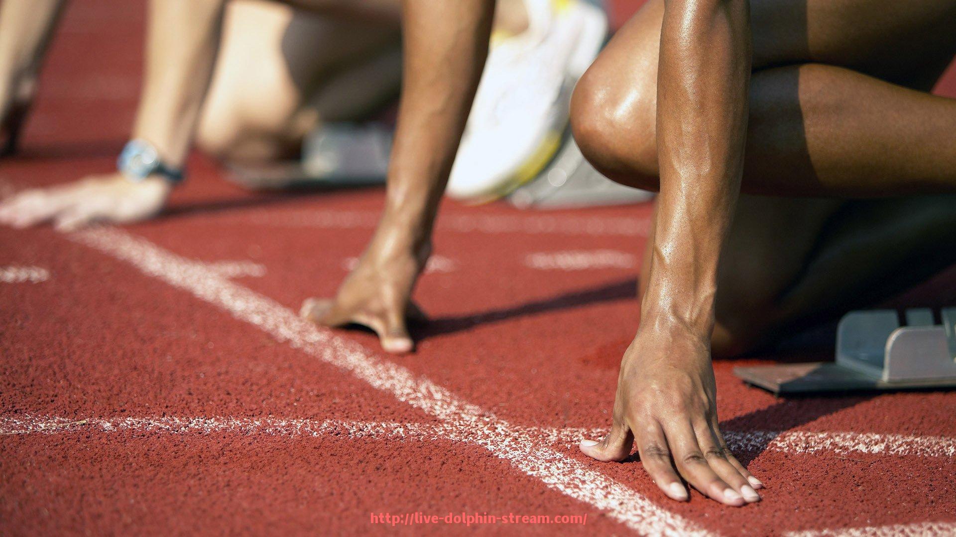 海豚直播-答题赢奖品：世俱杯线上互动问答活动全流程