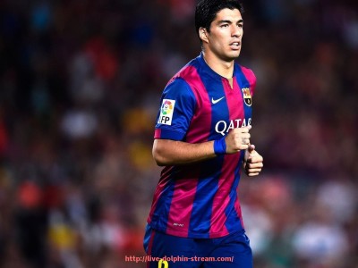 海豚直播-合同条款优化建议：世俱杯赛事赞助协议完善方案