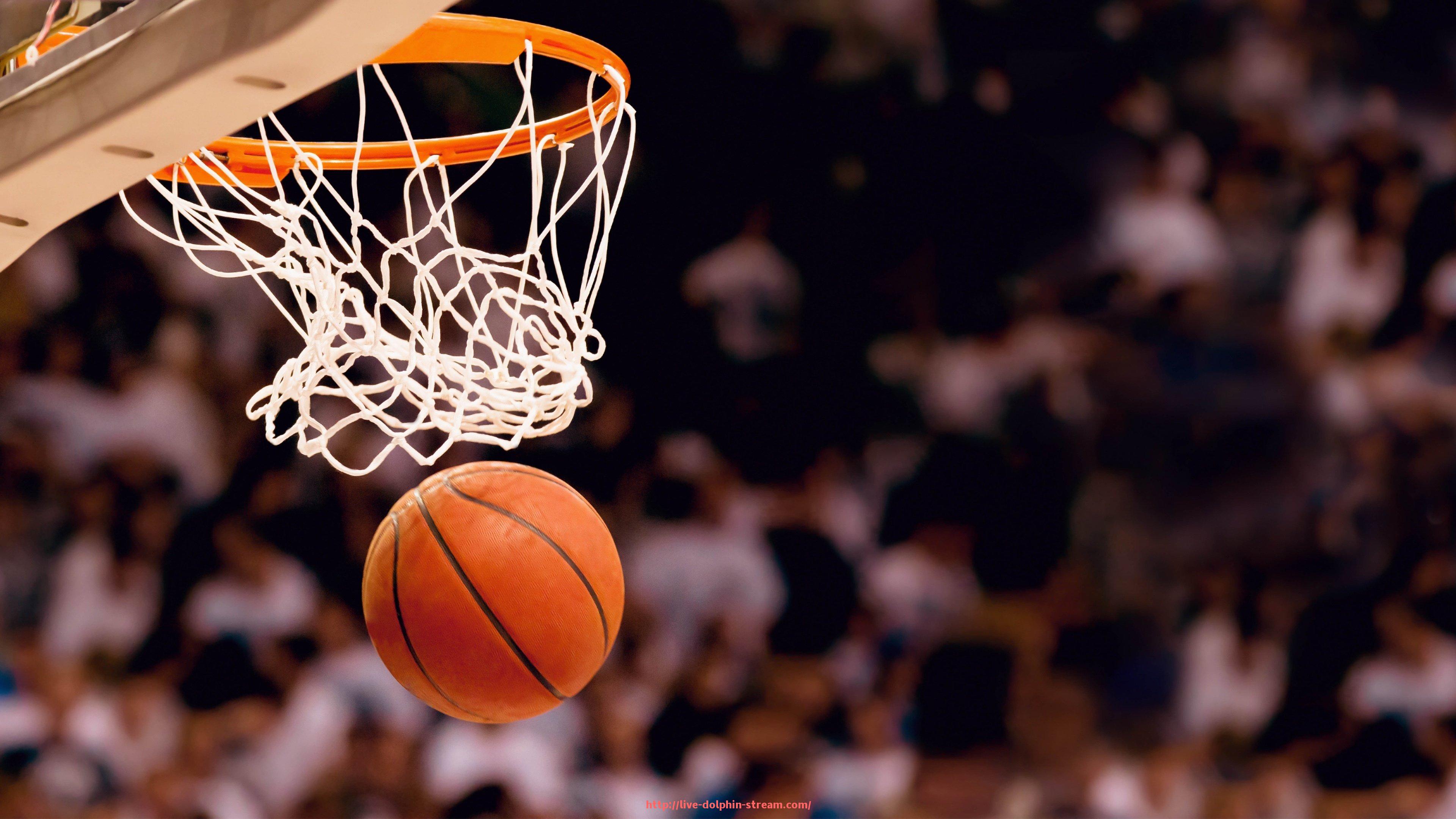 海豚直播-NBA赛事直播常用平台与访问方式