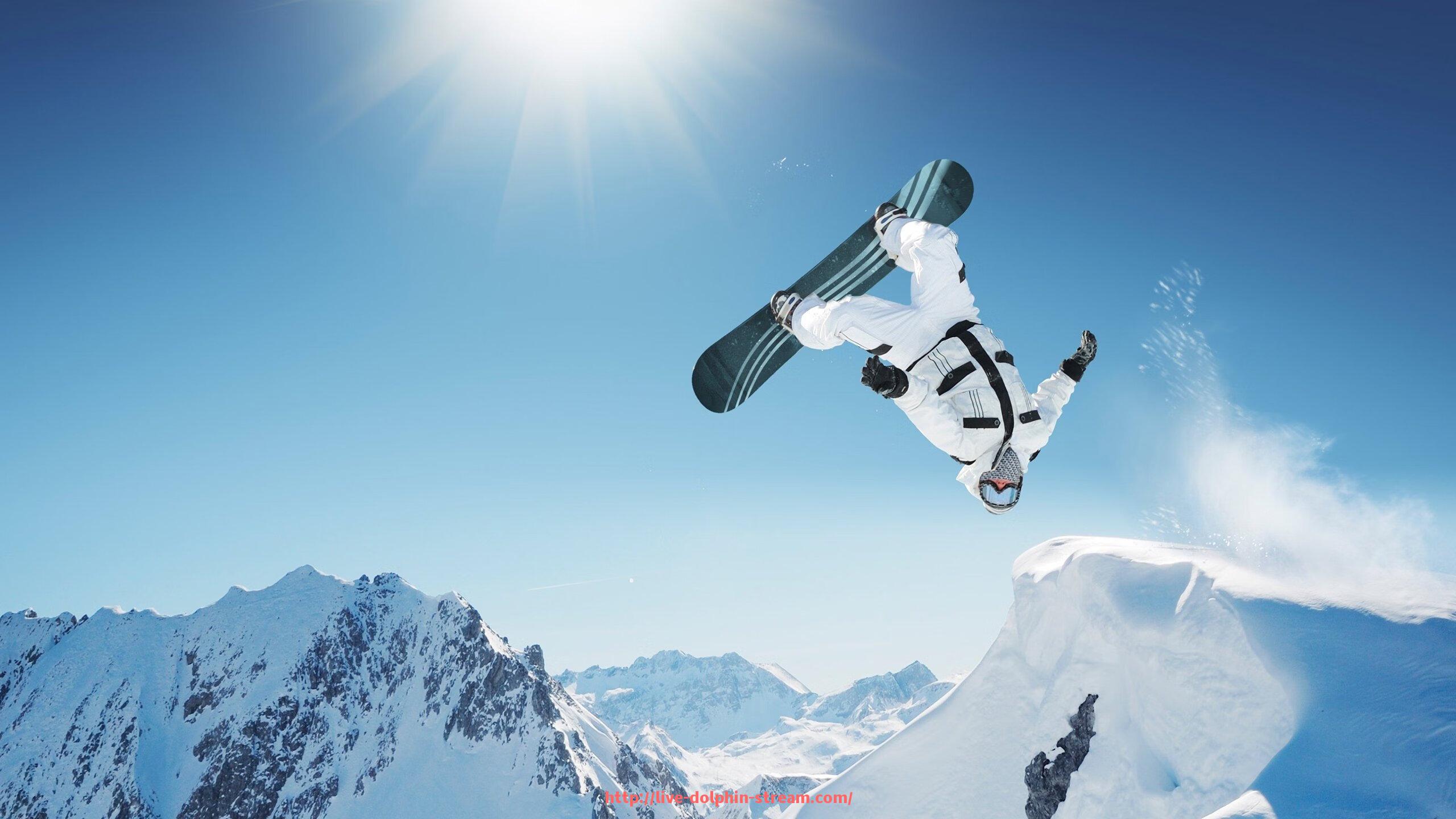 海豚直播-健身器材手套正确佩戴方法及体育锻炼保护